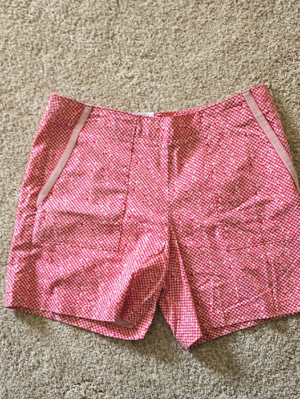 CAbi Picnic Shorts - Size 10